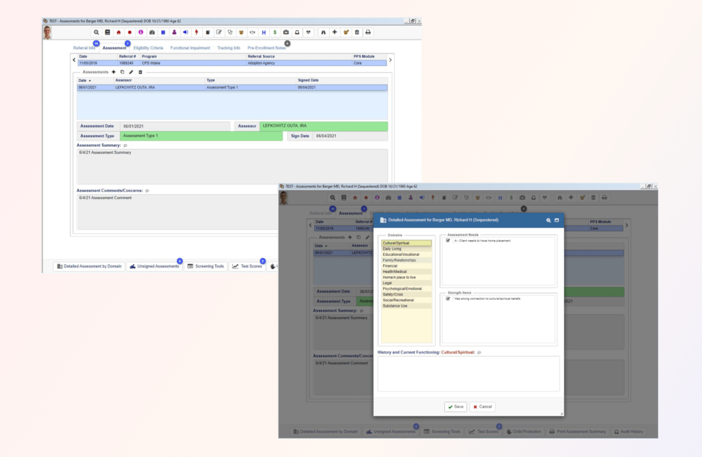 Assessment Needs and Strengths are detailed from choice lists categorized by Domain keeping descriptions consistent across all consumers.